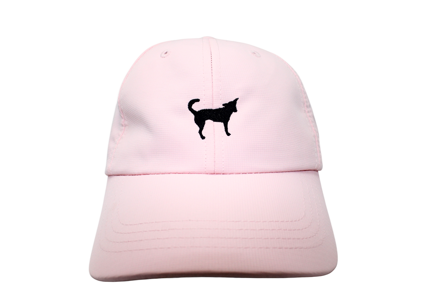 The Potcake - CAP