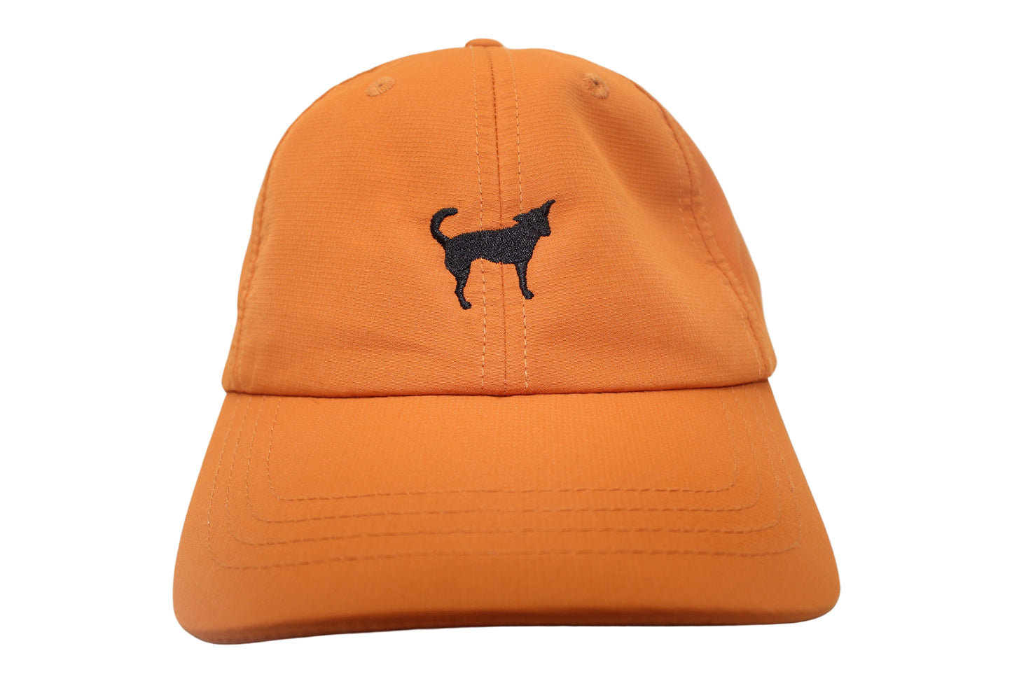 The Potcake - CAP