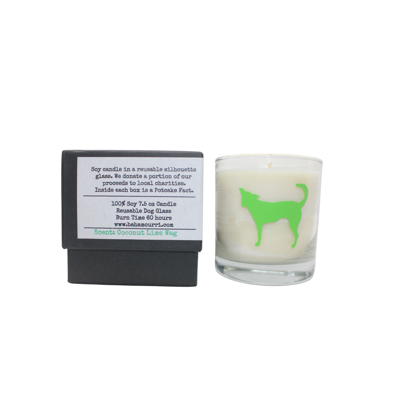 The Potcake Candle - Coconut Lime Wag