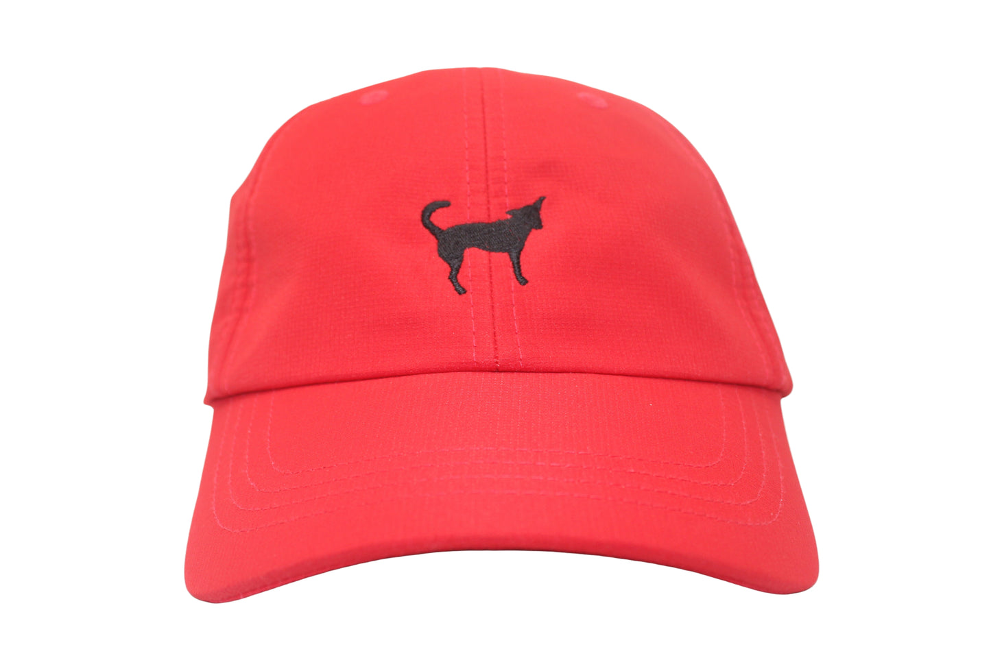 The Potcake - CAP