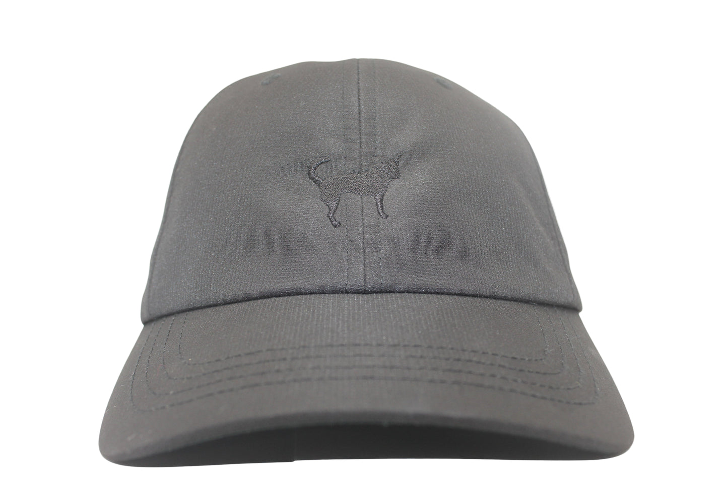 The Potcake - CAP