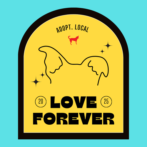 The Potcake Sticker -  Adopt