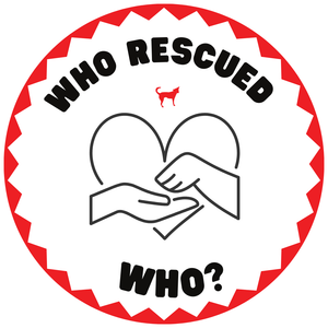 The Potcake Sticker - Who rescued Who?