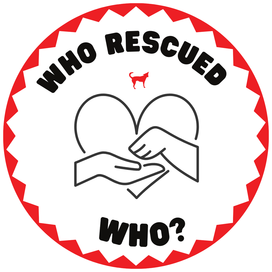 The Potcake Sticker - Who rescued Who?