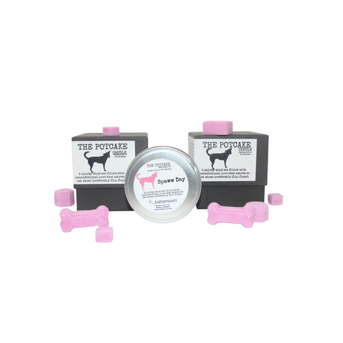 The Potcake Wax Melt - Spaww Day