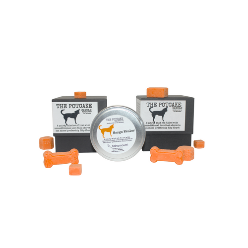 The Potcake Wax Melt - Mango Mauler