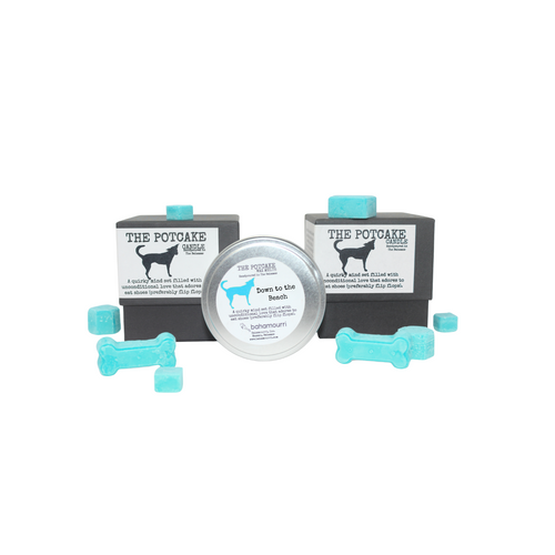 The Potcake  Wax Melt - Down to the Beach