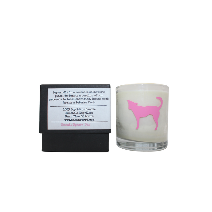 The Potcake Candle - Spaww Day