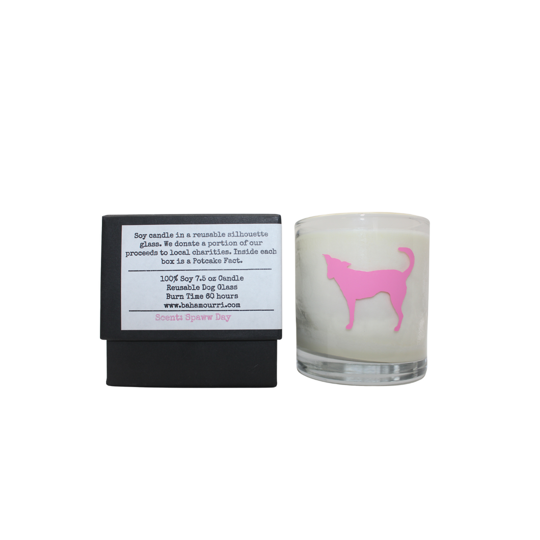 The Potcake Candle - Spaww Day