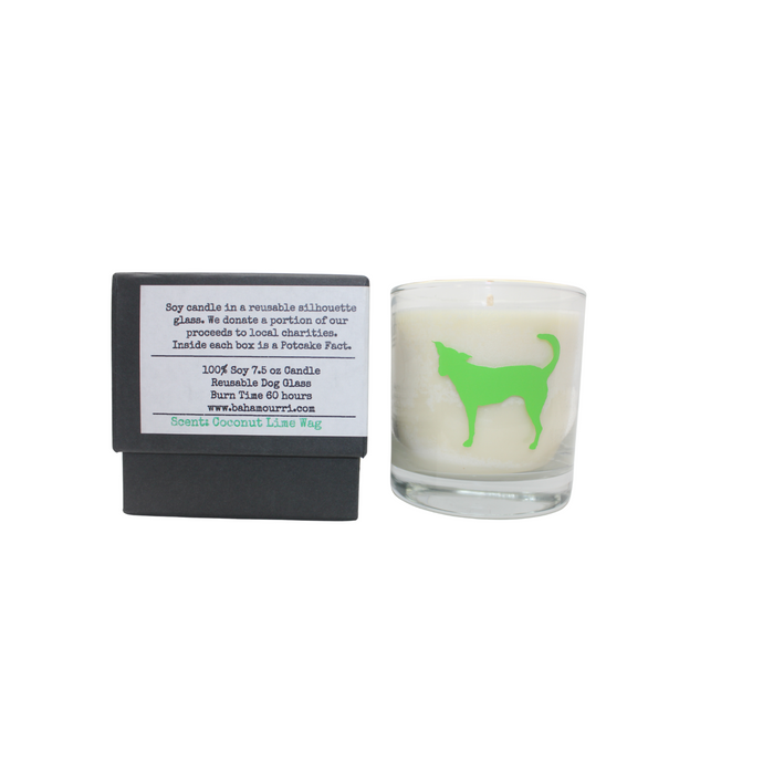 The Potcake Candle - Coconut Lime Wag