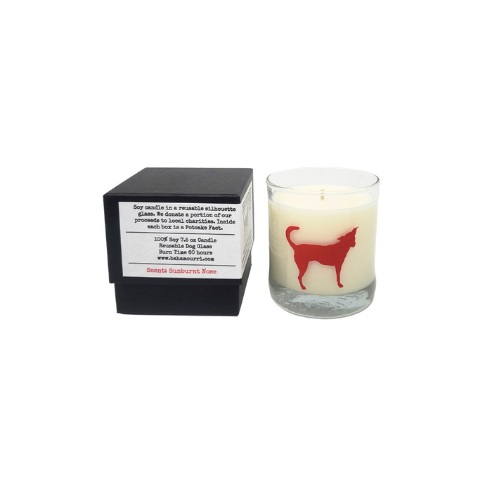 The Potcake Candle - Sunburnt Nose
